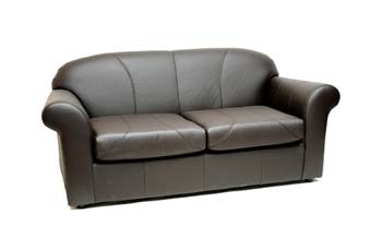 Lyon Leather 2 1/2 Seater Sofa Bed
