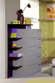 Furniture123 Prita 5 Drawer Chest with Storage Attachment