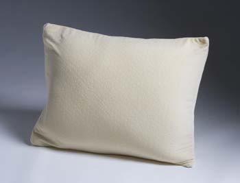 Furniture123 RestEasy Miracle Memory Foam Pillow