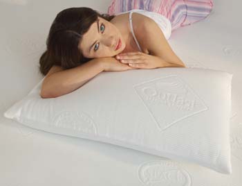 Sleep Secrets Outlast Soft Feel Memory Foam Pillow