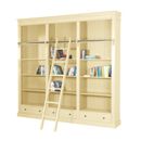 FurnitureToday Fayence library bookcase with ladder