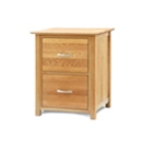 FurnitureToday Home Office Oak 2 Drawer Filing Cabinet