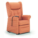 FurnitureToday Royams Carer Fiona Mono Riser Recliner