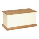 FurnitureToday Tarka Painted Blanket Box