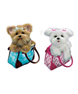 Teacup Pups Assortment