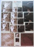 DuoTwists A4 die cut twisted pyramid decoupage sheet - Sepia dogs