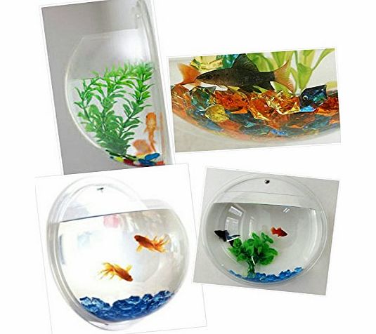 Ga Gadgets Wall Mounted Hanging 4.6L Acrylic Fish Bowl Pot Aquarium / Tank (Bowl Only)