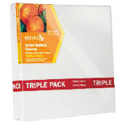 Gallery Canvas 12x10 Triple Pack