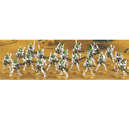 Eldar Guardians Battle Squad