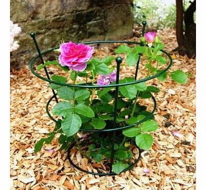 GAP Garden Products Small Peony Border Support (4 units)
