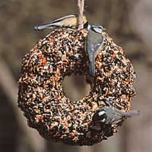 Garden Bird Supplies Feast Wheel