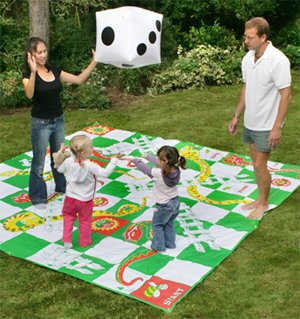 Giant Snakes and Ladders (507)