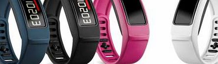 Garmin Vivofit 2 Fitness Band