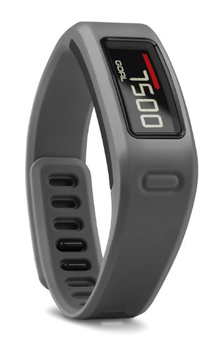 Garmin Vivofit Wireless Fitness Wrist Band and Activity Monitor - Slate