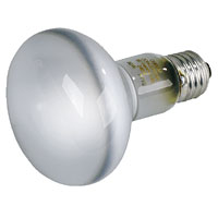 GE Reflector Lamp Bulb R80 ES 60W