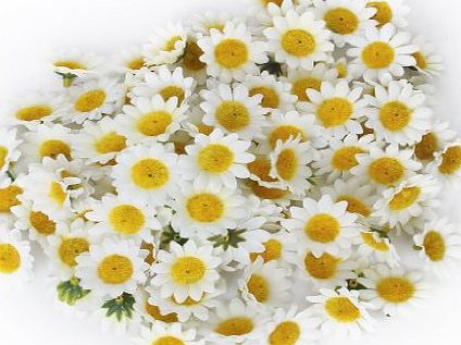 Generic Approx 100pcs Artificial Gerbera Daisy Silk Flowers Heads for DIY Wedding Party (White)