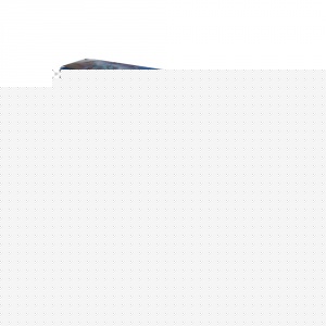 Generic Remote Controlled Flying Shark