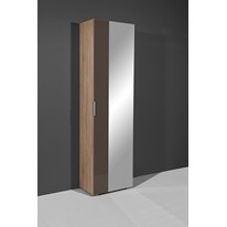 Germania Pala Single Mirrored Wardrobe in Oak and Glass