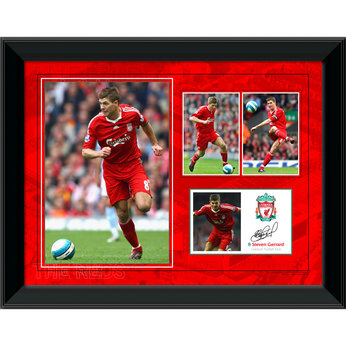 Gerrard Framed Player Profile