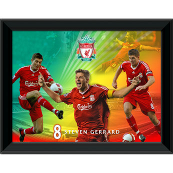 Gerrard Player and Stadium Combo (16x12`)