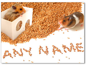 Personalised Picture - Hamster