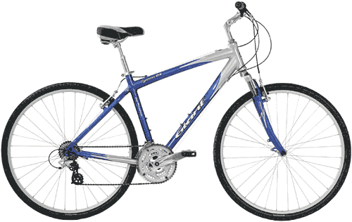 04 CYPRESS D/X GENTS BIKE :: 2004 Giant DX Cypress cycle - mans comfort bike