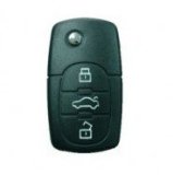 Shocking Car Key Remote