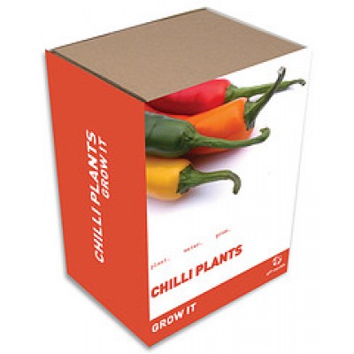 Gift Republic Grow It: Chilli Plants