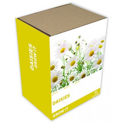 Gift Republic Grow It: Daisies