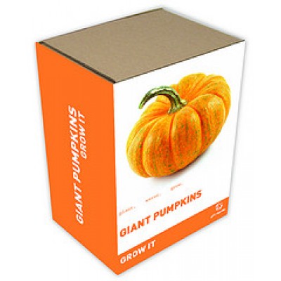 Gift Republic Grow It: Gianrt Pumpkins