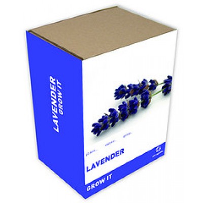 Gift Republic Grow It: Lavender