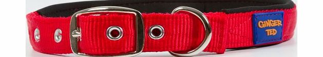 Ginger Ted Strong Nylon Padded Dog Collar Red - size Medium
