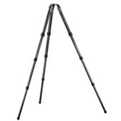5541LS Series 5 Systematic 4-section Tripod