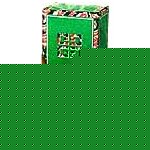 Givenchy Fleur DInterdit