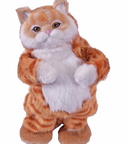 Global Gizmos Benross The Amazing Dancing Kit