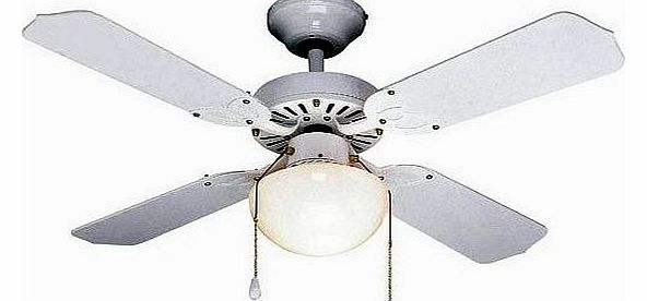 Rimini 42`` White Ceiling Fan with Globe Light RIM42