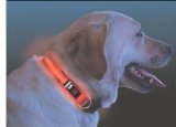 glosticks Nite Ize Dog collar Bright Red high Visability LED Lights large 18` - 27`.