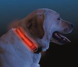 Nite Ize Dog Collar Bright Red high Visability LED Lights small 10"-13".