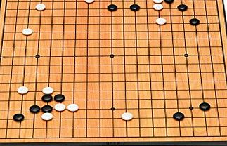 Go Game Guru Magnetic Travel Go Game Set