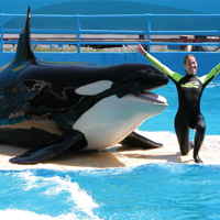 Go Miami 1-Day Go Miami Card