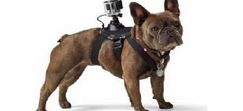 Go Pro Gopro Fetch Dog Harness