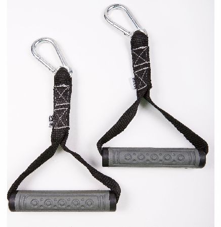 GoFit Extreme Tube And Handle With Carabineer And