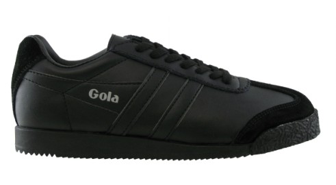 Gola Harrier