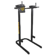 Gold Gym Dipping Station
