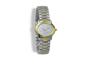 gold Silver CoinWatch L32212
