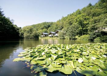 golden Oak Holiday Park