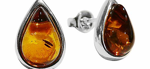 Goldmajor Amber Teardrop Sterling Silver Stud