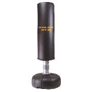 GOLD`S GYM Tube Trainer