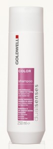 Goldwell DualSenses Color Shampoo 250ml