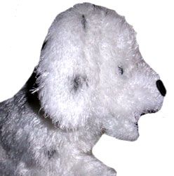 GolfersClub DELUXE DALMATION